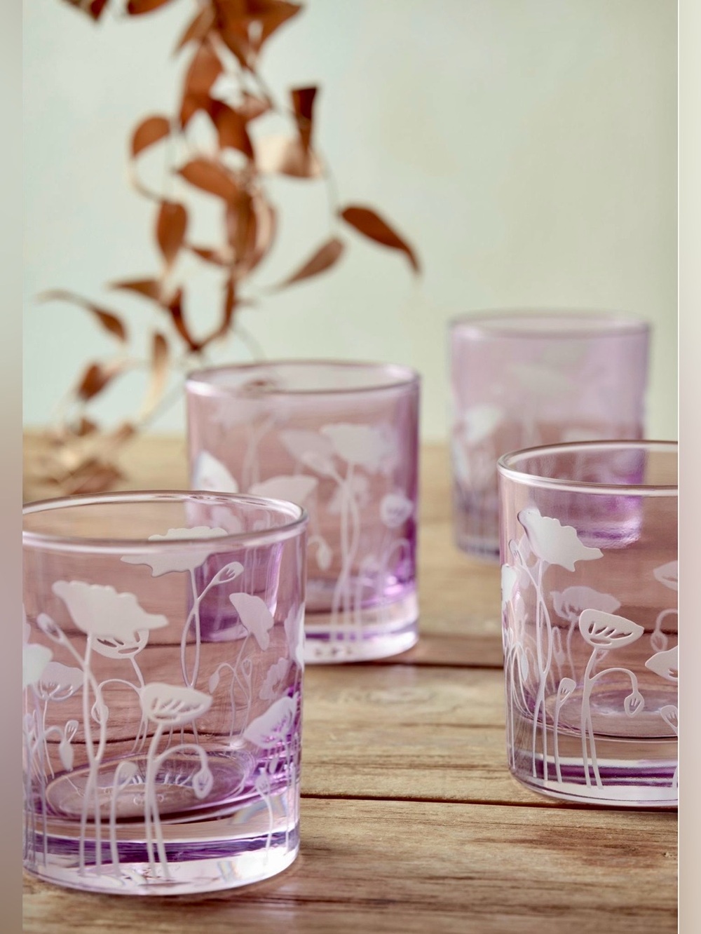 Anthropologie etched Poppy glasses SET OF 4 new